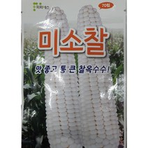 [가람종묘사] 미소찰옥수수 씨앗70립(통이 크고 맛과 품질이 우수해 영리재배로 좋은 품종이며 청과용 및 냉동가공용으로도 좋음))