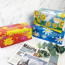 맑은 느낌 고급 미용 각티슈 180매 포장 기념품 선물 미용티슈, 1p