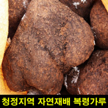 지앤제이 고씨네 복령300g가루 재배복령 복령고 복령 복령가루, one color, free