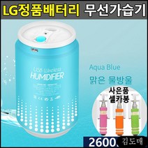 LG셀 초음파 무선가습기 USB 충전식 미니 가습기 휴대용가습기, (판매:배나트리) 아쿠아블루