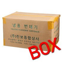 박스/번데기(중국산)4kgX4