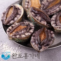 [전복의정석 완도홍가네] 가정용 완도전복 13~14미 1kg 아이스박스 산소포장 손질브러쉬&칼증정!!, 완도홍가네전복 13~14미 1kg