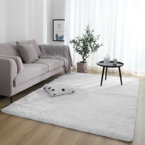 FASEN 쿨 거실 러그 극세사 침실 카페트 먼지없는 논슬립 매트