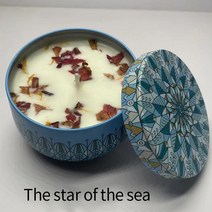 향기로운 양초 항아리 빈티지 꽃 양초 항아리 간장 왁스 향기 양초 결혼 선물 홈 인테리어 13 종류의 향기, 오션 스타