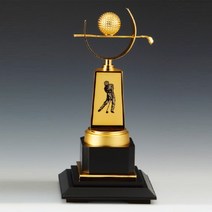 골프트로피 트로피제작 DS10461-2
