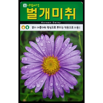 벌개미취꽃씨앗500립 아람종묘