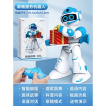 인공지능 AI 로봇 스마트 음성 인식, 표준, 팔로우서비스로봇_블루