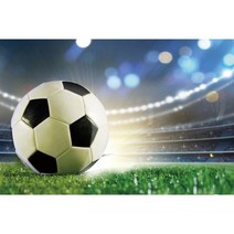 미니스튜디오 촬영 반사판 사진 골 승리 배경 소년 생일 축구 파티 스포츠 사용자 정의 필드 배경 스튜디오 Pcall, 비닐 300x280CM_11418377