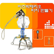 비즈 박테리오파지만들기(10인용) - 33392