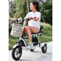 3륜 전동바이크 전동스쿠터 여성 어르신 세발 출퇴근, 단일 12A 완충시30km 도난방지