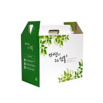 자체제작 한약박스 자연이주는선물(소) 50장_0305EA, 본상품선택