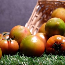 [전라신선] 전라도 60개 농가 최상급 고당도 스테비아 토마토 1.5kg