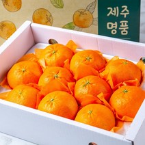 꿀당도 프리미엄 레드향 3kg 로얄과, 선물용 레드향(대과)