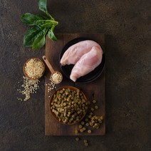 힐링펫 강아지사료 RESET 닭고기사료 400g, 1개