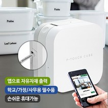 PT-P300BT 라벨프린터