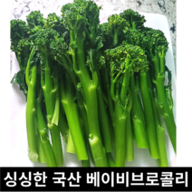 [국내산/국산] 아삭한 베이비브로콜리 1kg 2kg 줄기까기먹는 브로콜리니 이유식용 아이가 먹는 베이비 브로컬리 스틱브로콜리 미니브로콜리 신선한 송이 줄기 아기이유식 유럽채소, 500g