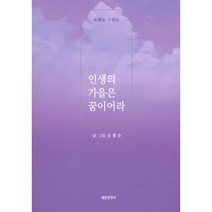 인생의 가을은 꿈이어라, 손명순 글,그림, 세종출판사