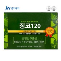 Jw중외제약 징코120 120정 [4개월] / 은행잎추출물 엽산 아연 비타민 / 기억력 혈행개선