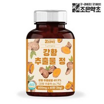 강황 추출물 정 강황환 식약처 HACCP 인증 600mg x 60정, 없음