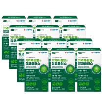 여성 식약청 은행잎 추출물 떨림 징코 징크 혈행 머리 뇌 혈관 에 좋은 영양제 식품 부모님 노인 순환 영양제 보조 식약처 인정 홈쇼핑 추천 머리에 40대 50대 60대, 12개(12개월분)