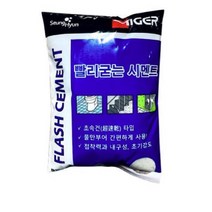 승현 빨리굳는 시멘트 백색 1kg, 1개