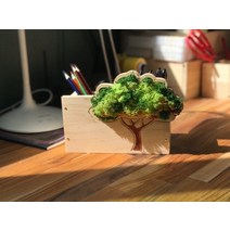 에셀나무 목공체험 천연모스 나무 두칸꽂이 DIY KIT 반제품