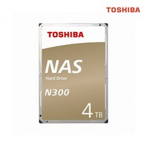 도시바 NAS N300 HDD 4TB HDWQ140