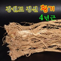 [정선황기유기농] 신선약초 황기환, 300g, 1개