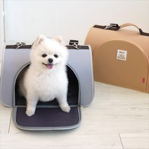 패리스독 레터링 돔캐리어 이동장, 그레이