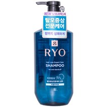 려 자양윤모 탈모증상케어 샴푸-비듬두피용 400ml, 단품, 단품