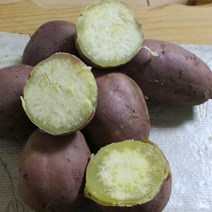 영쇼핑 타박고구마 팍팍한 밤고구마 5kg, 1box, 밤고구마 튀김용 5kg