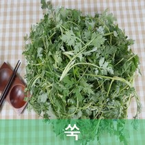 쑥 진도 생쑥 2kg 내외 야채맘, 1개