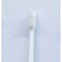 라이온 임플란트칫솔 (당일발송 US 기본형), 1팩, 10개