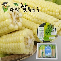 냉동 옥수수/초당/대학찰 2가지, 생물 괴산대학찰옥수수 선물용 25개/냉동/껍질벗김