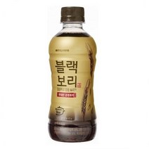 하이트진로 블랙보리 음료, 340ml, 10개