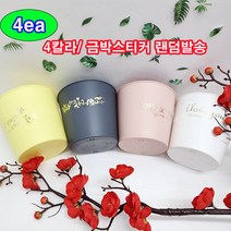 (샤인몰) 럭셔리금박레터링 플라스틱화분(국산) 모종포트10cm 4칼라 4ea 무료배송/꽃꽂이활용/물구멍있음