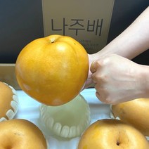 나주배 햇배 스테비아급 나주 특산물 신고배 원황배 쥬스용, 특품 선물용 5kg (5-7과)
