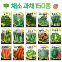 쌈 채소 씨앗 모음 고수 공심채 루꼴라 궁채나물 상추씨 동남아 종자, 114. 여주 10립