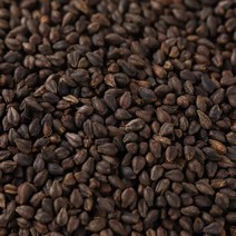 봉래 국산 흑메밀볶음차 600g 식품 > 커피/차 티/전통차 기타전통차 오미자차, 1개” class=”wr-img”></a></div></p></div></p></div></p></div><div class=