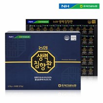 농협 생력침향단 3.75g x 100환 침향 22% 타우린 어버이날 부모님 아버지 어머니 선물 스승의날, 1박스, 3.75그램X100g환