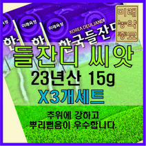 [23년산 국내생산] 미래종묘 한국 들잔디 15g (X3개세트)- 착근력 우수 산소용 골프장용 전원용, 3개