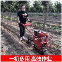 소형 관리기 밭가는기계 텃밭 휴립기 로타리 체인 레일 마이크로 경운기 새로운 농업용 디젤 다기능 크롤러 단일 바퀴 새로운 유형의 농지 쟁기 도랑 기계, 디젤 경운기는 주문을 받아서 만들어질 수 있습니다