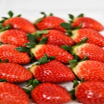 과즙이 살아있는 달콤한 논산 설향딸기 800g (24~30입)