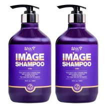 위스티 이미지 향기 좋은 퍼퓸 샴푸 씨에로 500ml, 2개
