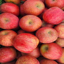 글라씨상점 경북 영주 부사 사과 산지직송 꿀사과 고당도 5kg 10kg, 10kg 중소과 (40과~46과)