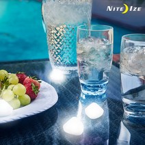 [나잇아이즈] NITEIZE 나잇 젬 LED White, 단품@1