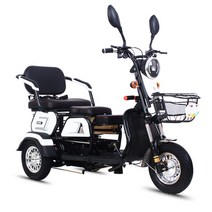 3발 오토바이 어르신 전동차 2인승 전기차 노인 여성, 화이트 48V20A