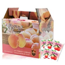 복숭아즙 햇사레 감곡복숭아 110ml 50포 1Box 도림농원