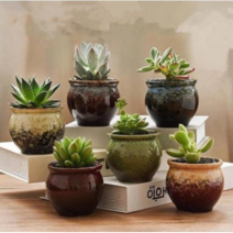 홈 가드닝 다용도 도자기 화분 다육이 화분 4개 6개 세트, 09