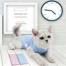 고양이 수술복 반려동물 환부복 애완 신축 통기성 중성화 환묘 옷, Mㅡ핑크